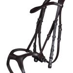 Bridle -Anatomic Sports-