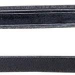 Double bridle -Dina-