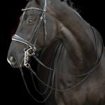 Double bridle -Dina-