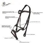 ExionPro Anatomical Combined Flash Bridle with Reins