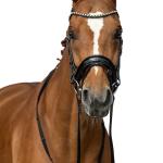 Bridle -Fleur-