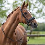 Bridle -Fleur-