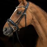 Bridle -Fleur-