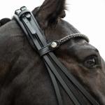 Double bridle -Grace-