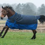 Turnout rug -Chester- 600D, 300g