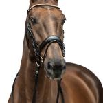 Bridle -Copenhagen-