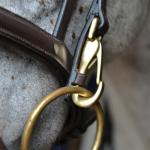 Quick-release - snap on bridle - eclipse