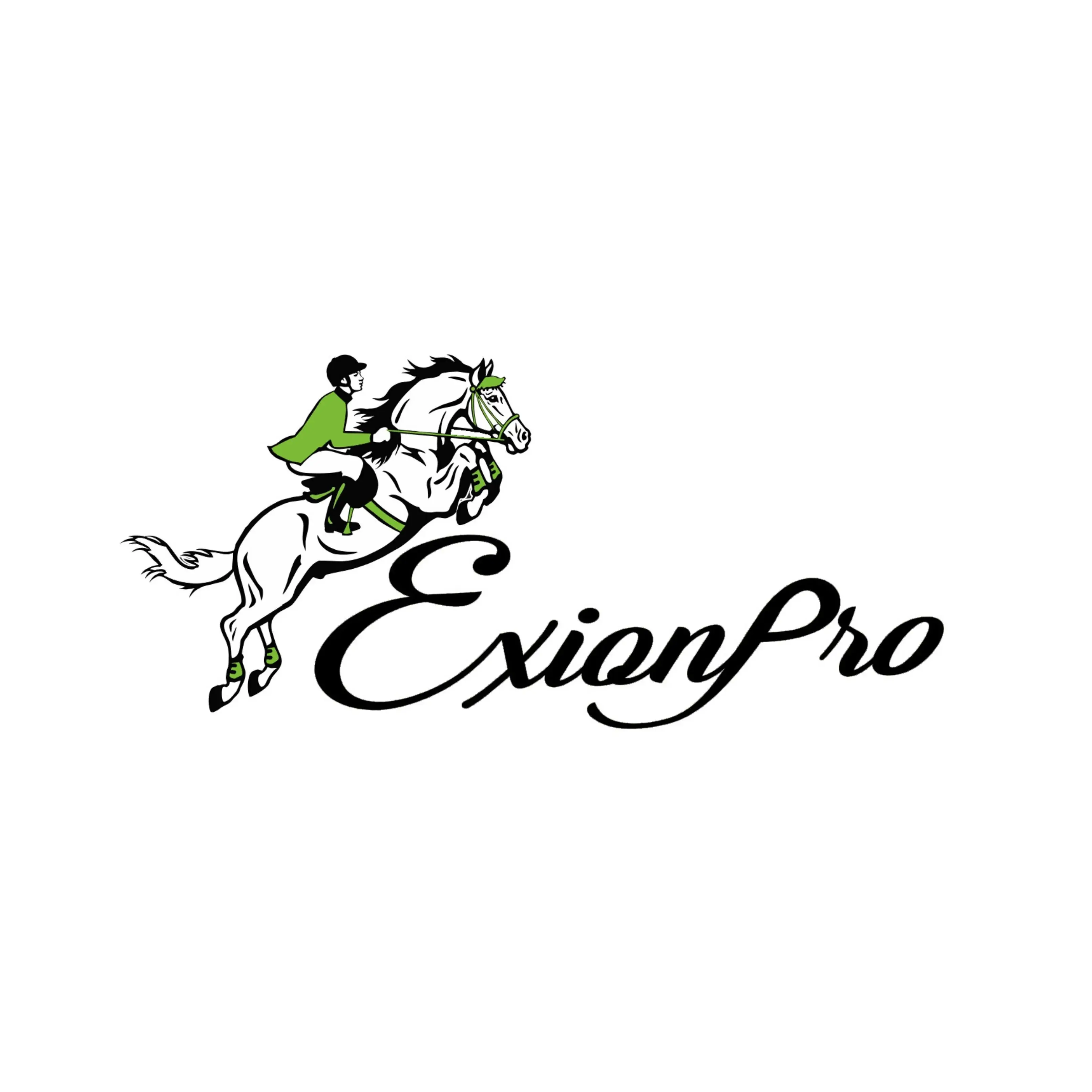 exionpro-logo-ec759968-192b-487b-acfb-1a02e65337b2-2.webp